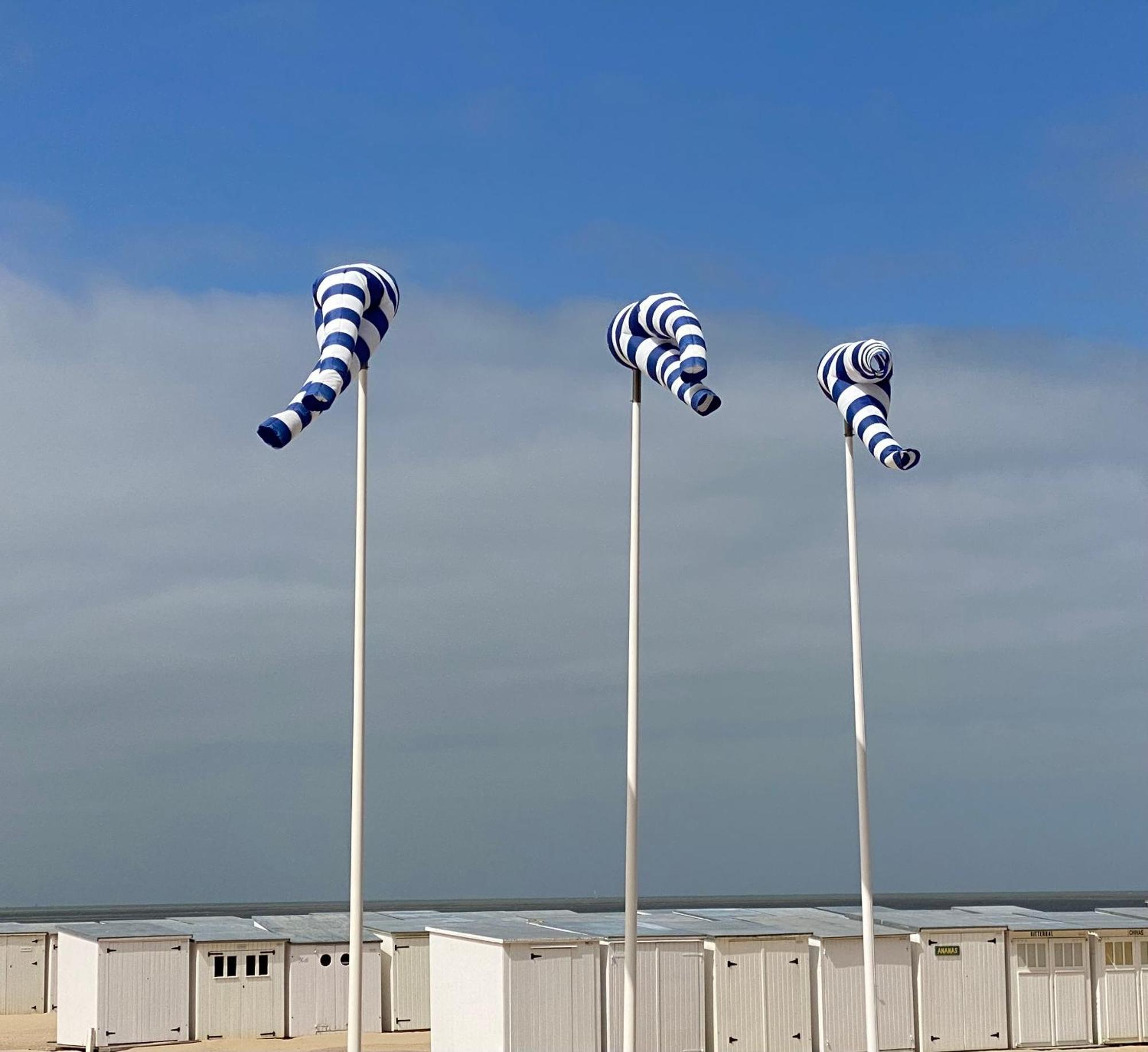 Royal Knokke Daire Dış mekan fotoğraf