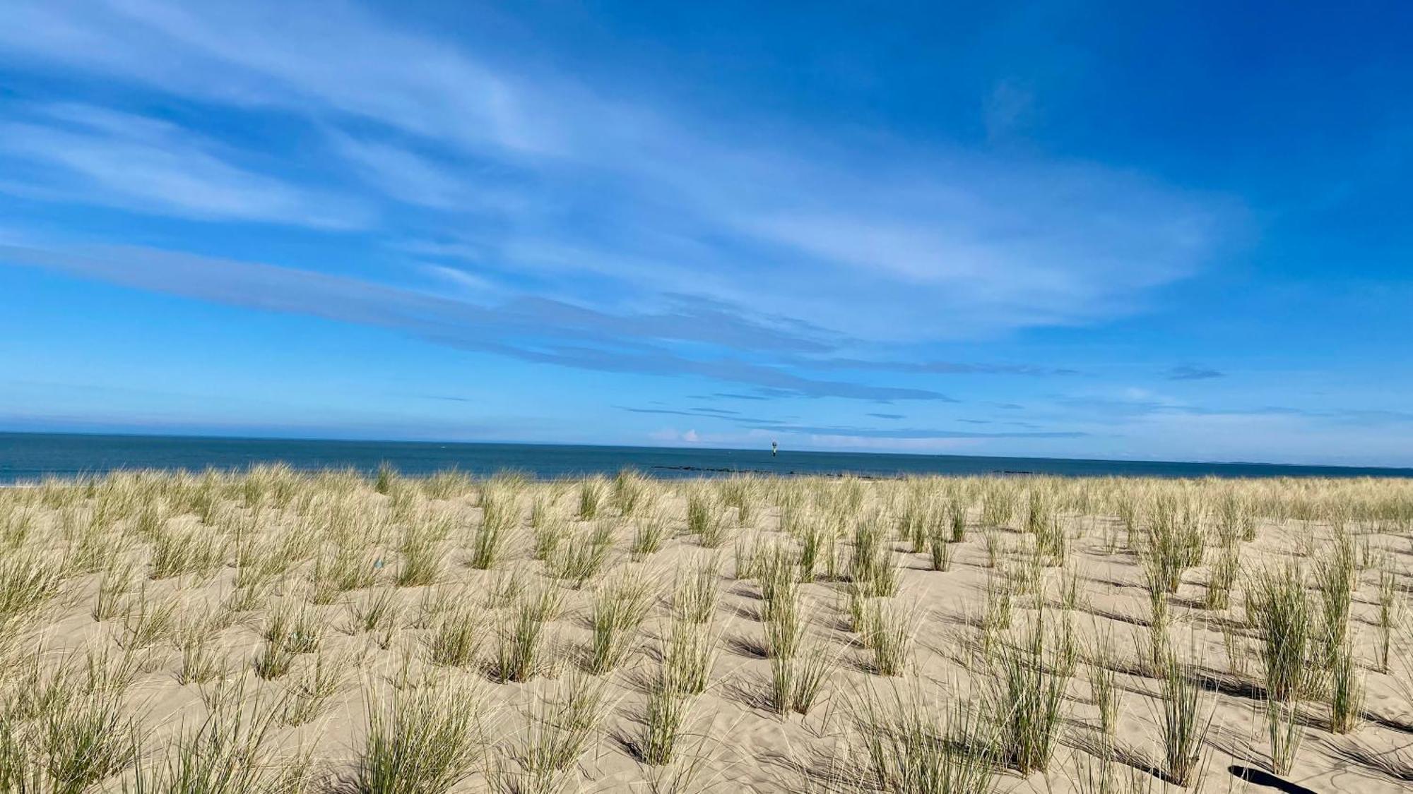 Royal Knokke Daire Dış mekan fotoğraf