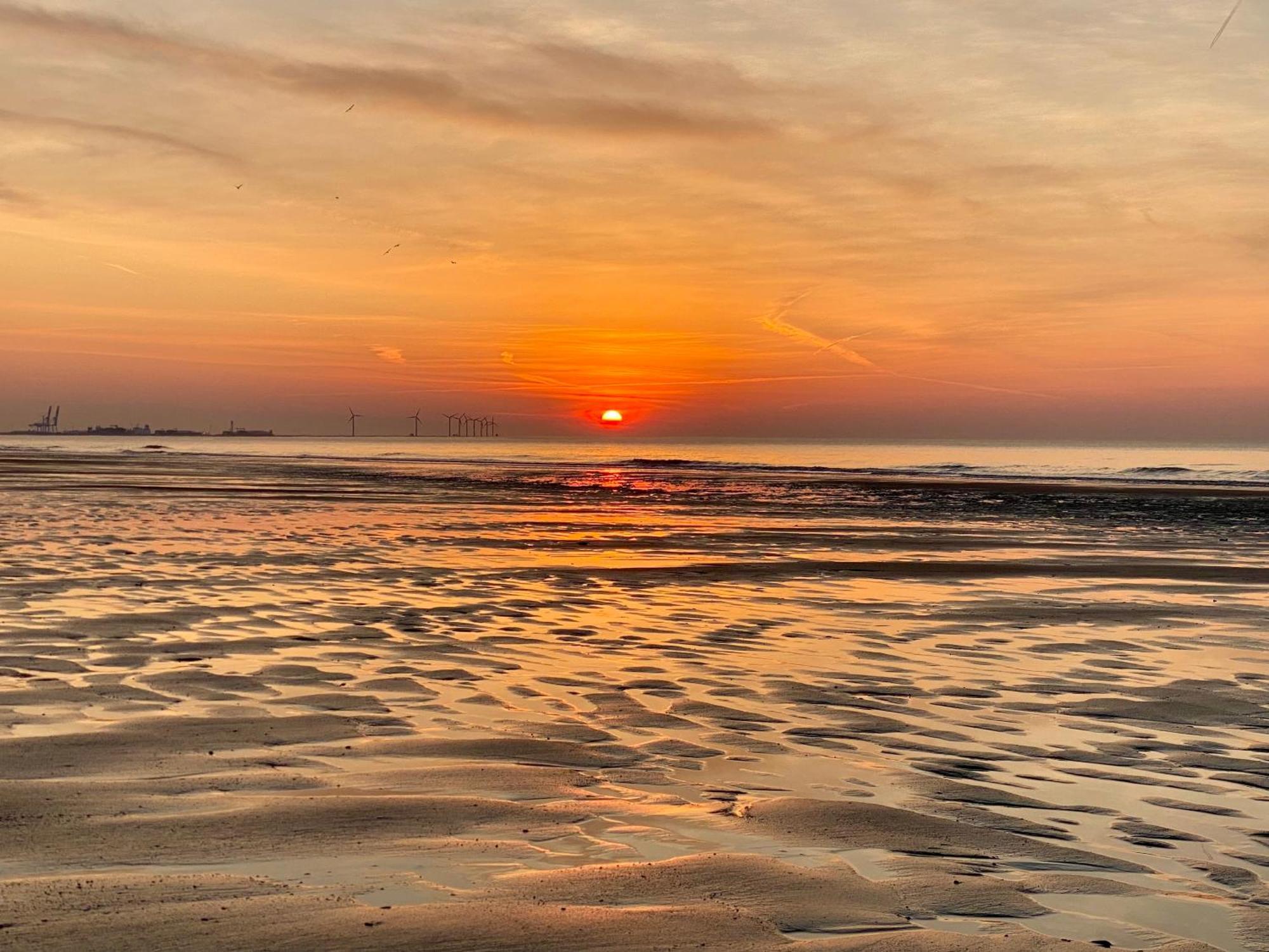 Royal Knokke Daire Dış mekan fotoğraf